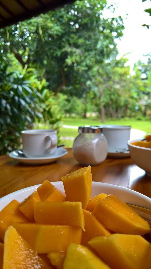 Mango Tree Inn Pemuteran Eksteriør bilde