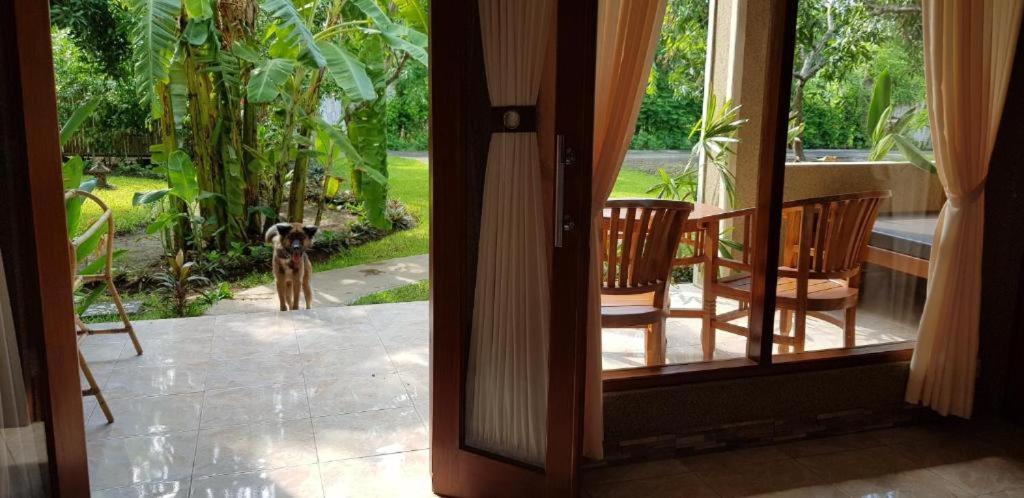 Mango Tree Inn Pemuteran Eksteriør bilde