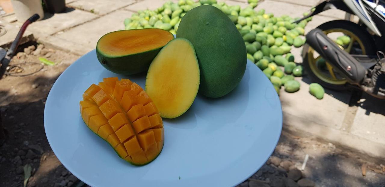 Mango Tree Inn Pemuteran Eksteriør bilde